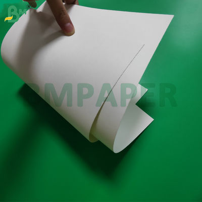 Giấy cuộn tráng PE 190gsm + 15g dùng cho hộp đựng súp, khổ 865mm 940mm, chống thấm nước