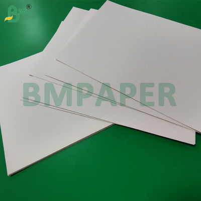 Giấy cuộn tráng PE 190gsm + 15g dùng cho hộp đựng súp, khổ 865mm 940mm, chống thấm nước