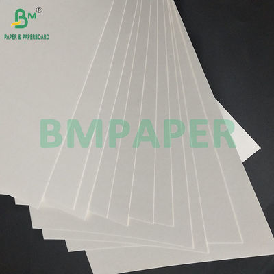 Giấy vẽ phác họa kết cấu rõ ràng 190gsm 300gsm Giấy vẽ màu nước 28x38cm