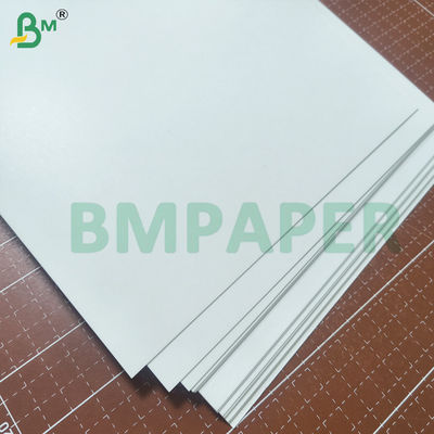 Giấy bìa trắng kháng dầu và mỡ, chống thấm, định lượng 210gsm - 355gsm
