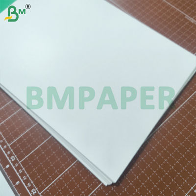 Giấy bìa trắng kháng dầu và mỡ, chống thấm, định lượng 210gsm - 355gsm
