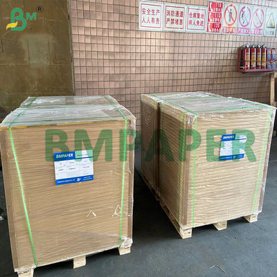 Giấy bìa trắng kháng dầu và mỡ, chống thấm, định lượng 210gsm - 355gsm