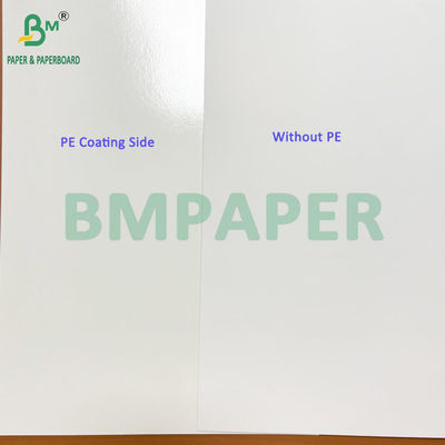 275gm + 15g PE White Paperboard with PE In Sheet cho bao bì thực phẩm đông lạnh