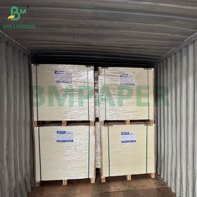 Giấy bao bì thực phẩm đông lạnh có độ cứng cao 275gsm + 15g PE tráng, kích thước 635 X 902mm