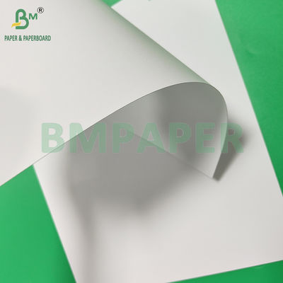 Giấy SBS tráng phủ 400gsm 425gsm đã tẩy trắng, nguyên chất 100%, không tráng phủ 2 mặt