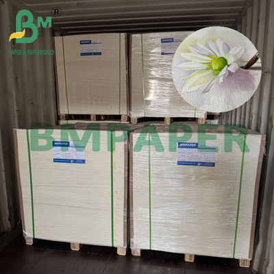 200/230/300gr giấy màu nước màu trắng tự nhiên cho in nghệ thuật A4 A3