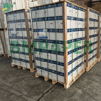 Giấy không carbon tráng phủ đặc biệt cho biểu mẫu kinh doanh 2 liên, 3 liên, 4 liên