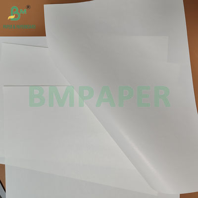 Giấy chống thấm ướt một mặt bóng 75gsm 80gsm màu trắng dùng cho bao bì đồ uống