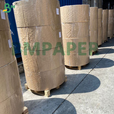 Giấy đế bát/tô trắng 280gsm 300gsm tráng phủ và không tráng phủ