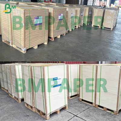 Giấy đế bát/tô trắng 280gsm 300gsm tráng phủ và không tráng phủ