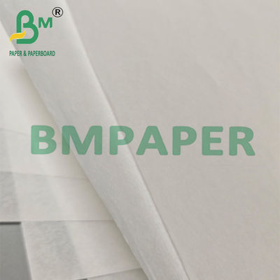Bảng giấy chống mỡ phân hủy được tẩy trắng lớp 7 cho bao bì thức ăn nhanh