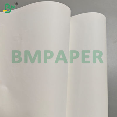 Bảng giấy Pelleaglio màu trắng có thể phân hủy 100% để đóng gói thực phẩm