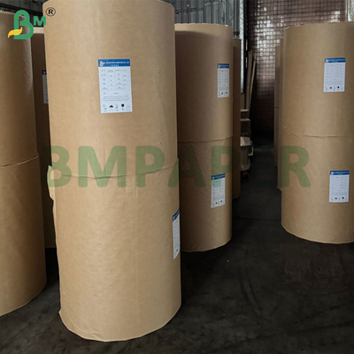 Giấy lọc cà phê nâu 360mm 380mm 50gsm dùng cho phin lọc hình nón