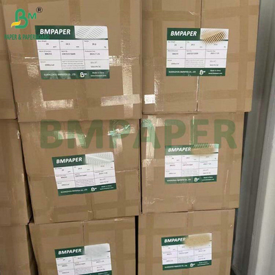 Giấy lọc cà phê 40GSM 50GSM đã tẩy trắng/chưa tẩy trắng dùng cho thực phẩm, dạng cuộn 1200mm