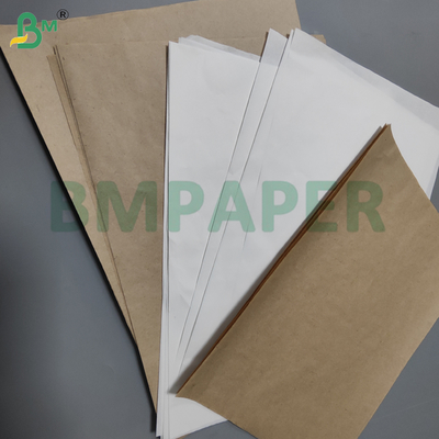 Giấy lót xen kẽ tráng kính trắng & nâu 36gsm 40gsm, chống mốc, khổ 2450mm