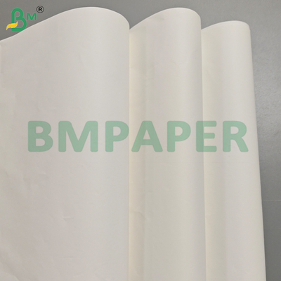 40GSM giấy lót kính chống nấm