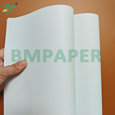 260GSM Bảng giấy không gỗ cứng cao để in Offset