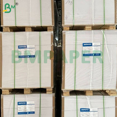 250 + 15 Gsm Một mặt PE phủ giấy chống rò rỉ