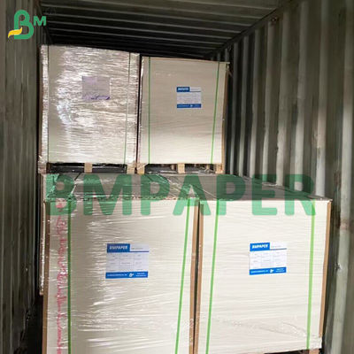 Giấy bìa chống thấm dầu tráng một mặt với mặt sau trắng không tráng 275gsm