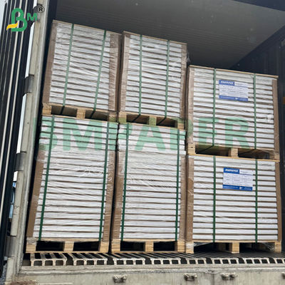 300g 350g 900mm 1000mm Bảng giấy gấp chống đông lạnh có thể in cho hộp thực phẩm đông lạnh