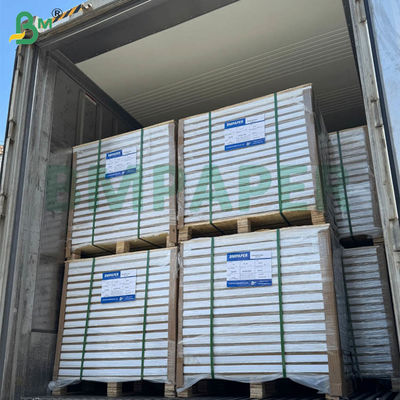 Giấy tự sao NCR không carbon 55gsm 60gsm, khổ lớn, tờ rời 70x100cm 61x86cm