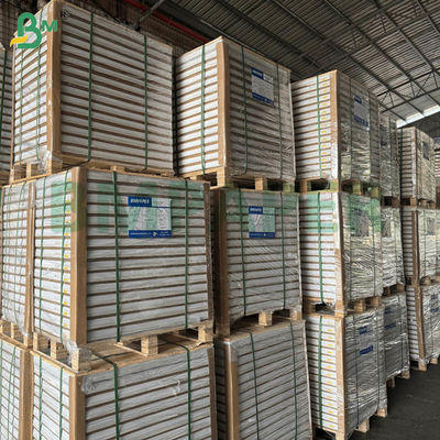 Giấy tự sao NCR không carbon 55gsm 60gsm, khổ lớn, tờ rời 70x100cm 61x86cm