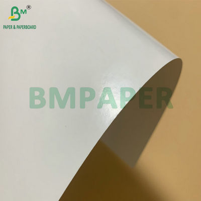 SBS Bảng giấy PE đóng băng có lớp phủ 325gm để làm hộp đóng gói tôm đông lạnh