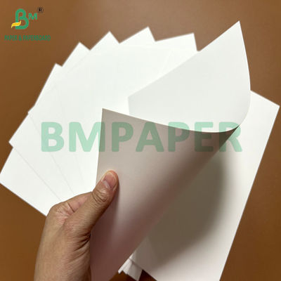 300gsm 350gsm 400gsm Lớp phủ 1 mặt Bristol Paper Board cho hộp gấp 22,5 " × 28,5 "