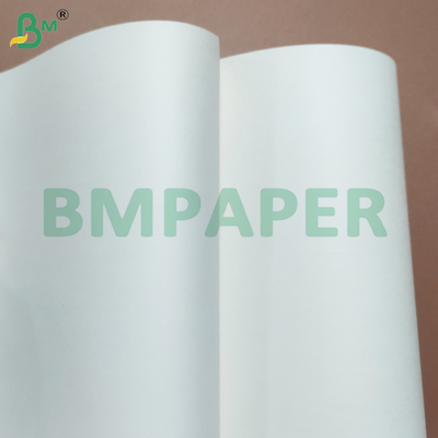 Kháng nhiệt PE ốp Cup Bảng giấy dự trữ thân thiện với môi trường