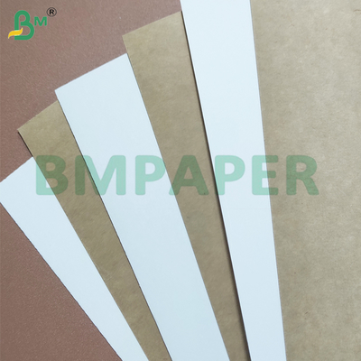 Kháng nhiệt PE ốp Cup Bảng giấy dự trữ thân thiện với môi trường