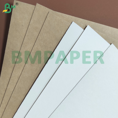 Kháng nhiệt PE ốp Cup Bảng giấy dự trữ thân thiện với môi trường