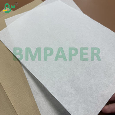 21g 50g Food Grade Filter Paper Rolls For Coffee Pou White & Natural Brown 50mm 76mm Core