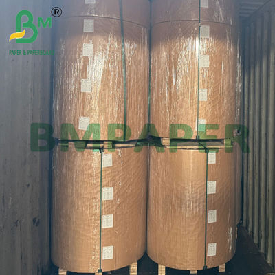 230g 245g Disposable Uncoated Lunch Box Board for Food Packaging