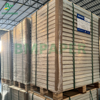 Giấy in tự động 55G đến 80G CB Trắng CFB Hồng CF Vàng Dùng trong văn phòng