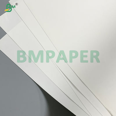 Giấy in đá thân thiện với môi trường 300g dùng cho sách và album nghệ thuật chất lượng cao