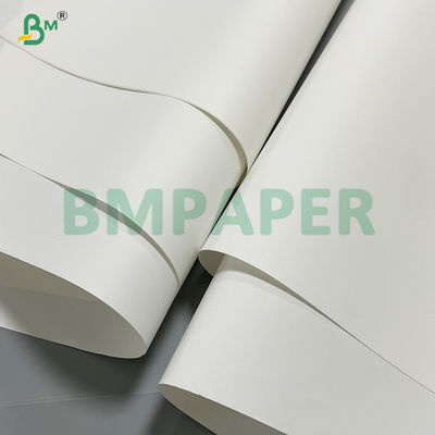 Giấy in đá thân thiện với môi trường 300g dùng cho sách và album nghệ thuật chất lượng cao