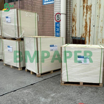 Bảng giấy đặc biệt cho đĩa và bát thực phẩm, PET