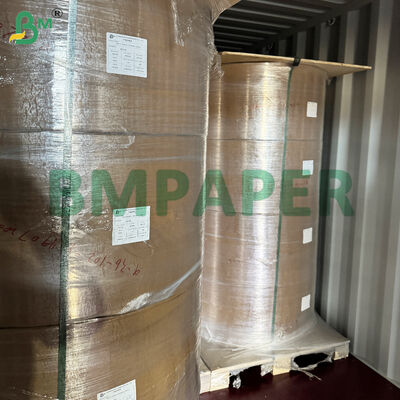 Bảng giấy đặc biệt cho đĩa và bát thực phẩm, PET