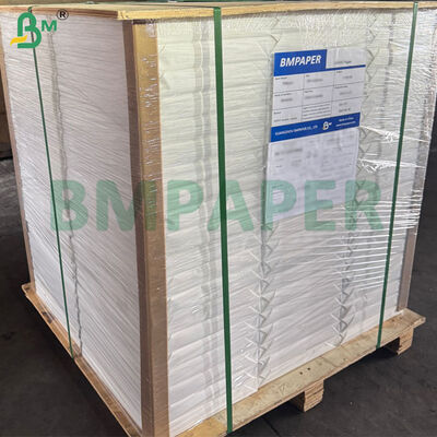 Giấy vẽ màu nước 100% Cotton Bề mặt thô cho họa sĩ 300gsm Khổ 70cm x 50cm