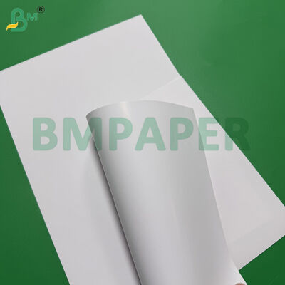 68lb 80lb C / 1S giấy phủ một mặt cao cấp 25 inch X 38 inch Blank Sheets trắng