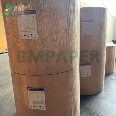 Một mặt bóng C1S Cardstock 16pt 18pt 24pt Cho đóng gói bong bóng vỏ sò