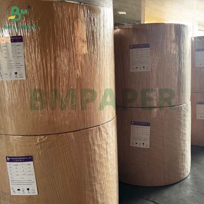 Một mặt bóng C1S Cardstock 16pt 18pt 24pt Cho đóng gói bong bóng vỏ sò