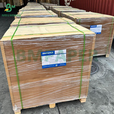 Giấy da chống dầu 40gsm cho Khay giấy Lót giấy nồi chiên không dầu 8.5 x 11 inch