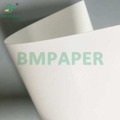 16PT Blister Paper Thermformed Cardboard for Toothbrush Clamshell Packing (Bảng giấy phồng)