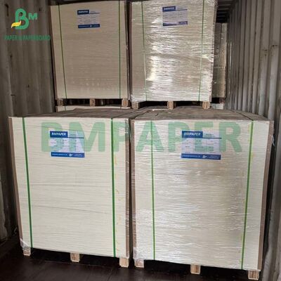 16PT Blister Paper Thermformed Cardboard for Toothbrush Clamshell Packing (Bảng giấy phồng)