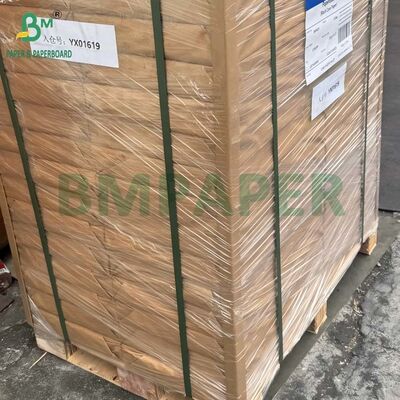 16PT Blister Paper Thermformed Cardboard for Toothbrush Clamshell Packing (Bảng giấy phồng)