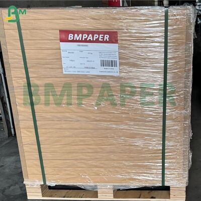 40gr Chất chống mỡ giấy bọc thực phẩm 5/7 trắng tẩy trắng 24x36 inch