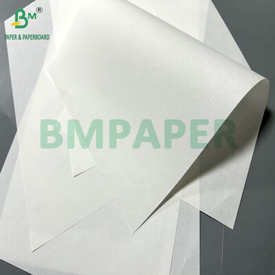 Clear Printable 40gram White Health Care Paper For Medical Instructions 65 x 86cm