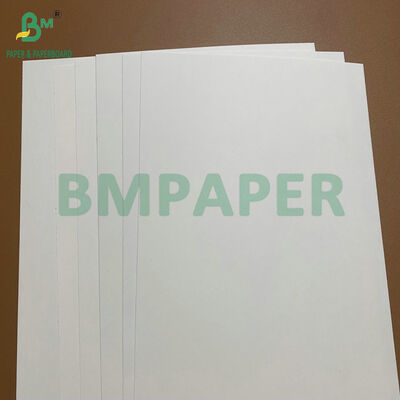 Giấy bìa trắng tráng C1S độ phồng cao 275gsm 325gsm tiếp xúc thực phẩm cho đĩa và khay đựng thức ăn dùng một lần