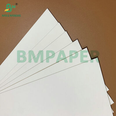 Giấy bìa trắng tráng C1S độ phồng cao 275gsm 325gsm tiếp xúc thực phẩm cho đĩa và khay đựng thức ăn dùng một lần